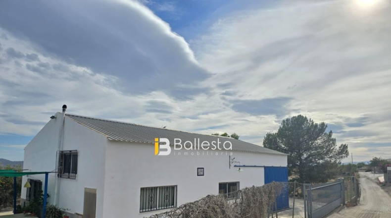 Almería - Huércal-Overa - 10000m2
