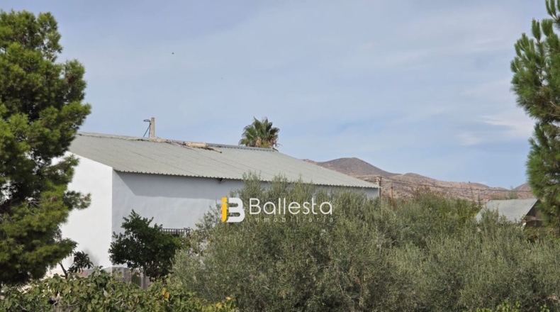 Almería - Huércal-Overa - 10000m2