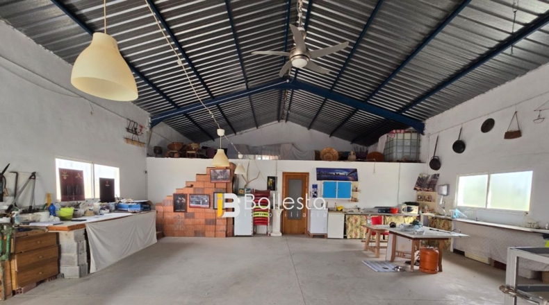 Almería - Huércal-Overa - 10000m2