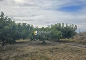 Sòl urbà en venda a Huércal-Overa ref.: TR252725 foto
