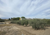 Sòl urbà en venda a Huércal-Overa ref.: TR252725 foto
