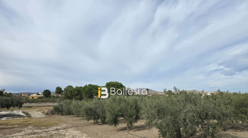 Almería - Huércal-Overa - 10000m2