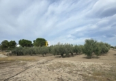 Sòl urbà en venda a Huércal-Overa ref.: TR252725 foto