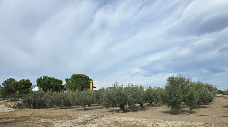 Almería - Huércal-Overa - 10000m2