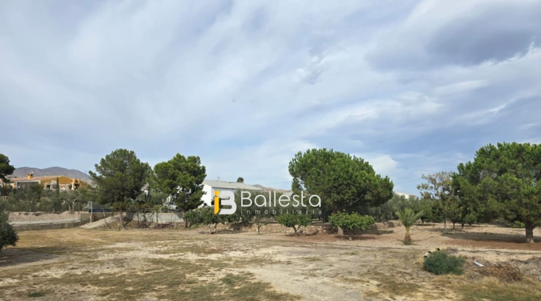 Almería - Huércal-Overa - 10000m2