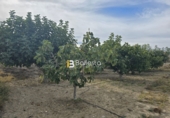Sòl urbà en venda a Huércal-Overa ref.: TR252725 foto