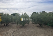 Sòl urbà en venda a Huércal-Overa ref.: TR252725 foto
