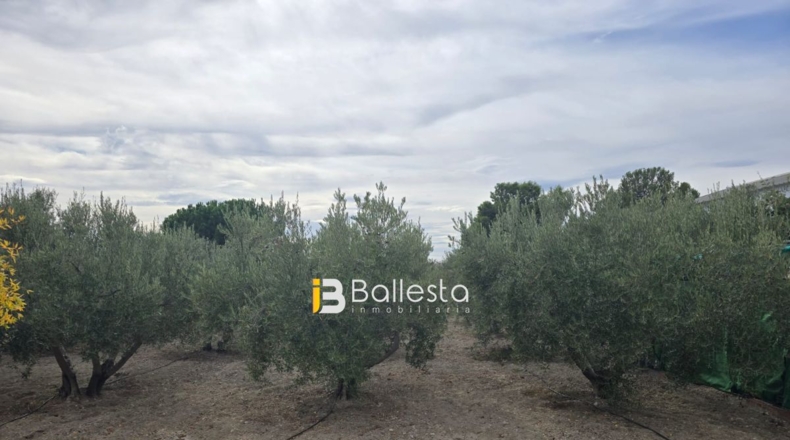 Almería - Huércal-Overa - 10000m2