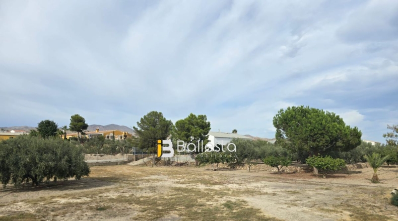Almería - Huércal-Overa - 10000m2