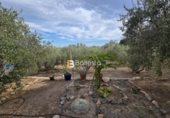 Sòl urbà en venda a Huércal-Overa ref.: TR252725 foto