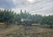Sòl urbà en venda a Huércal-Overa ref.: TR252725 foto