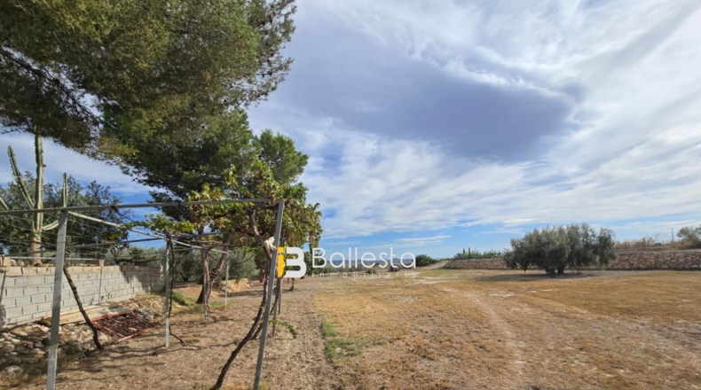 Almería - Huércal-Overa - 10000m2
