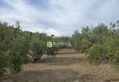 Sòl urbà en venda a Huércal-Overa ref.: TR252725 foto