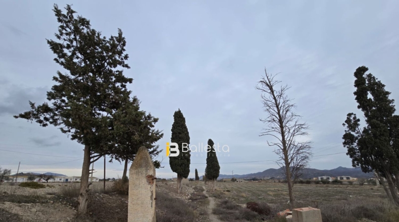 Almería - Huércal-Overa - 19364m2