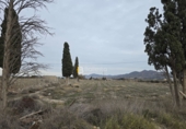 Terreny no urbanitzable en venda a Huércal-Overa ref.: TR252729 foto