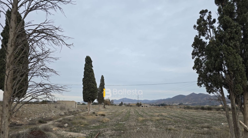 Almería - Huércal-Overa - 19364m2