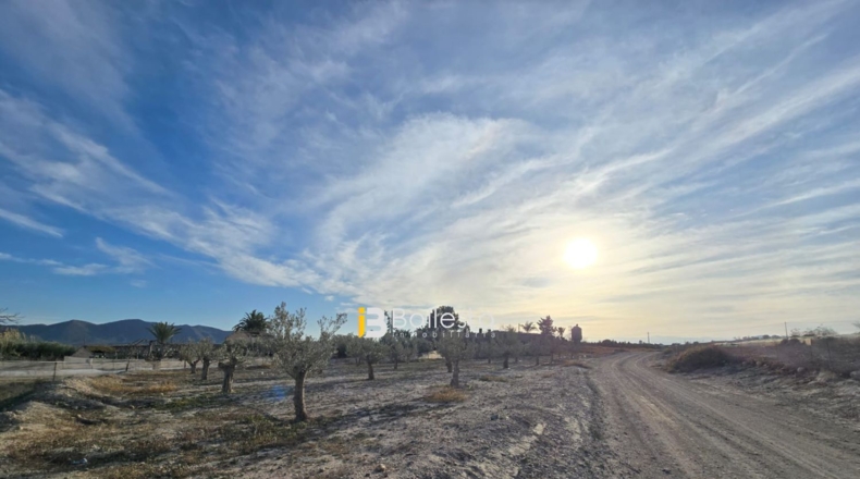 Almería - Huércal-Overa - 5943m2