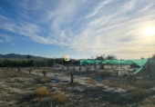 Terreny no urbanitzable en venda a Huércal-Overa ref.: TR252730 foto