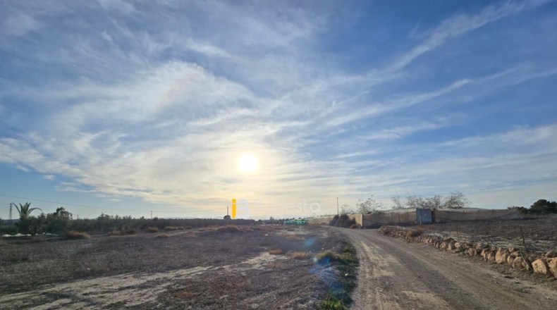 Almería - Huércal-Overa - 5943m2