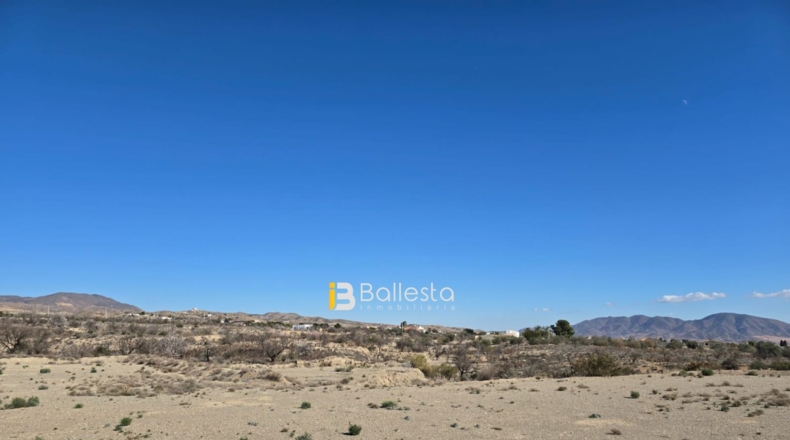 Almería - Huércal-Overa - 5125m2