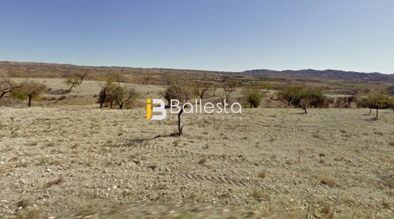 Almería - Albox - 38782m2