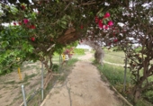 Rural estate for sale in Huércal-Overa ref: TR233127 photo