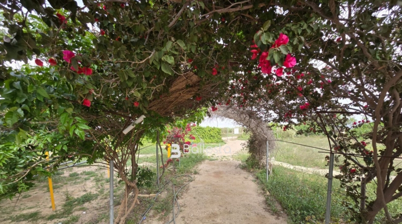 Almeria - Huércal-Overa - 1389m2