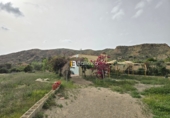 Rural estate for sale in Huércal-Overa ref: TR233127 photo