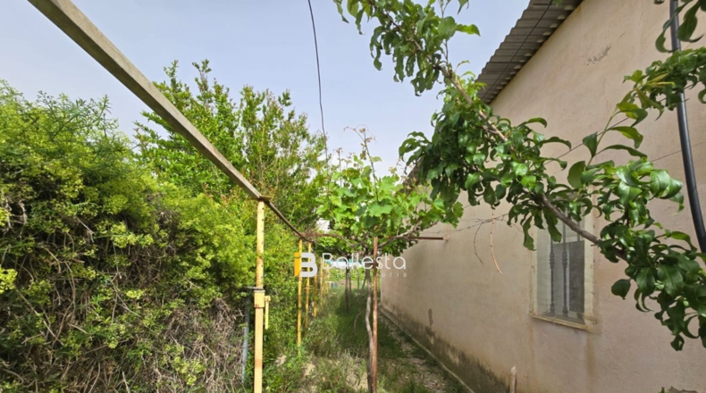 Almeria - Huércal-Overa - 1389m2
