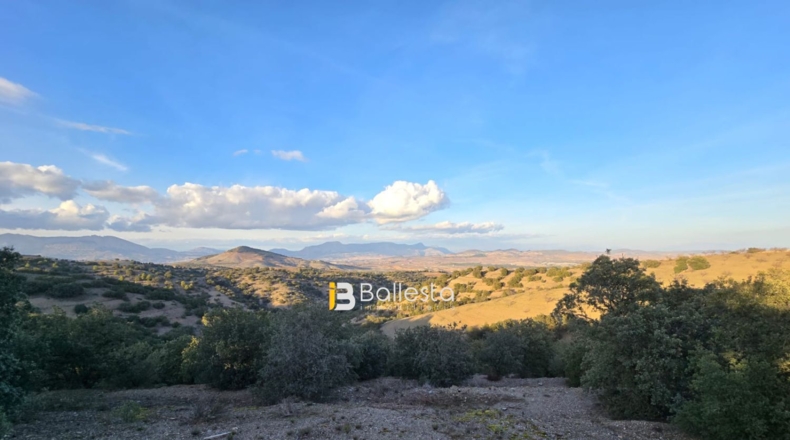 Almería - Vélez-Rubio - 24800m2