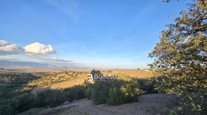 Almería - Vélez-Rubio - 24800m2