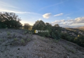 Terreny no urbanitzable en venda a la España, Vélez-Rubio, ref.: TR374706 foto