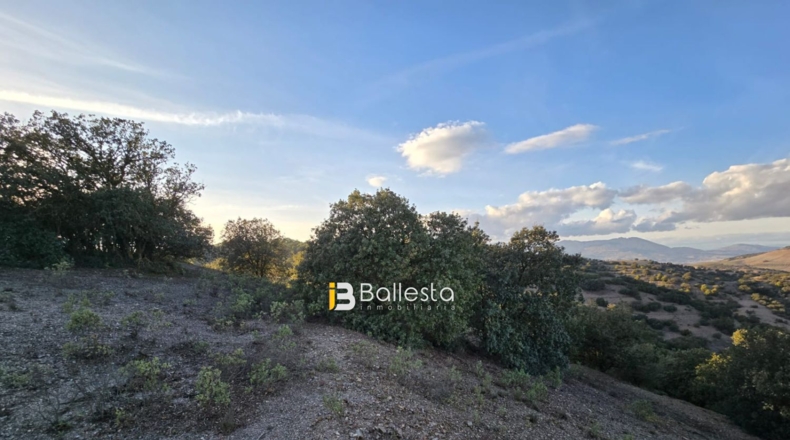 Almería - Vélez-Rubio - 24800m2