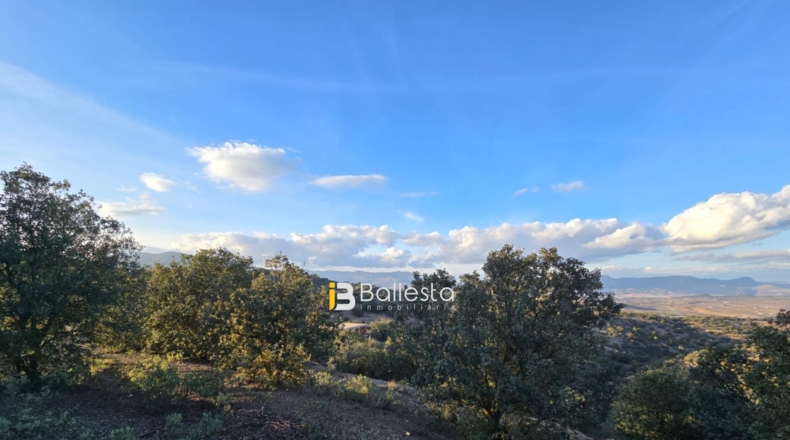 Almería - Vélez-Rubio - 24800m2