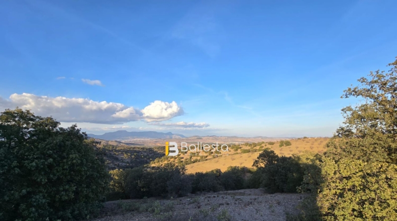 Almería - Vélez-Rubio - 24800m2