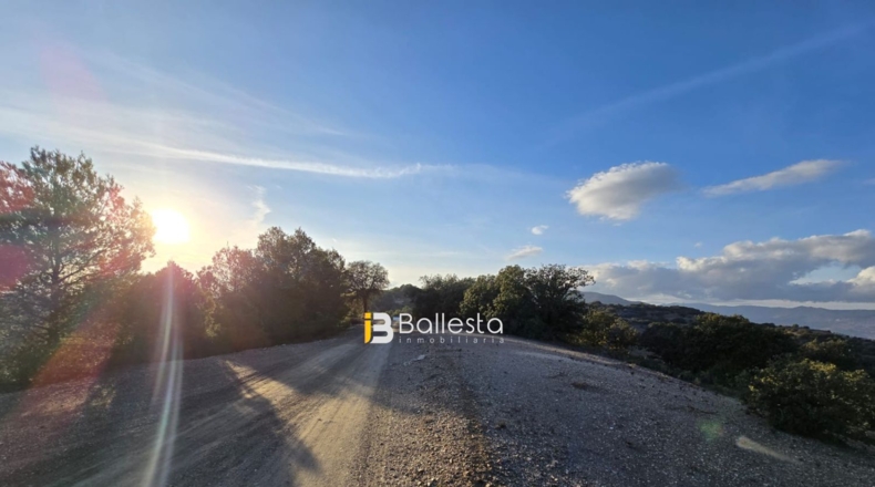 Almería - Vélez-Rubio - 24800m2