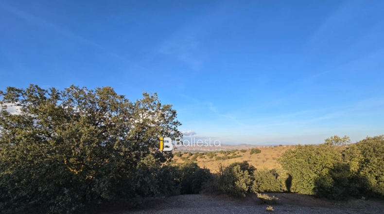 Almería - Vélez-Rubio - 24800m2