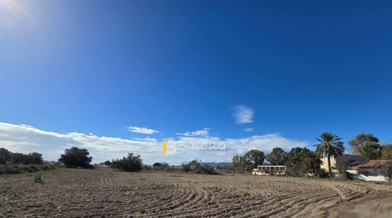 Almería - Pulpí - 18339m2