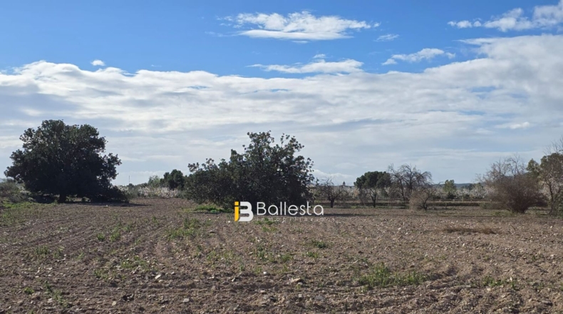 Almería - Pulpí - 18339m2
