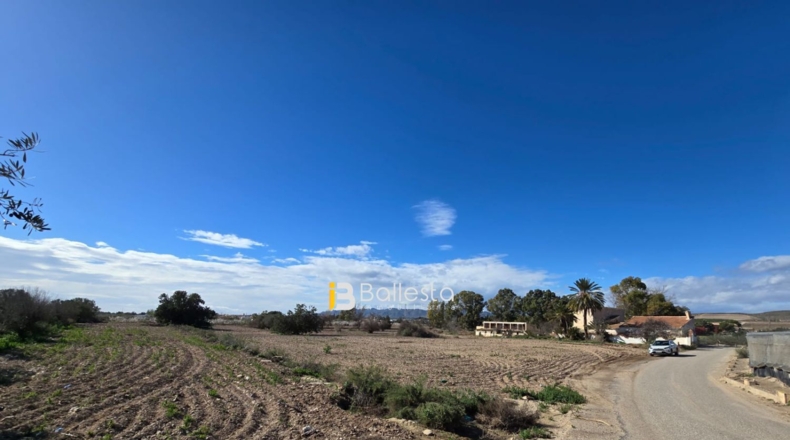 Almería - Pulpí - 18339m2