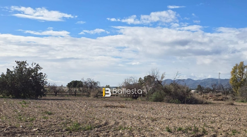 Almería - Pulpí - 18339m2
