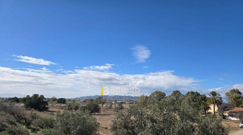 Almería - Pulpí - 18339m2