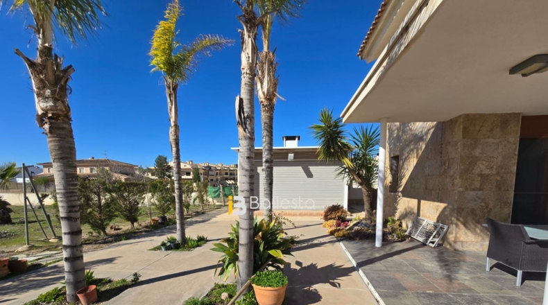 Almería - Huércal-Overa - 560m2