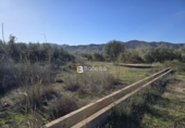 Non-developable land for sale in Huércal-Overa ref: TR378313 photo