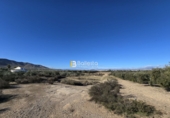 Non-developable land for sale in Huércal-Overa ref: TR378313 photo