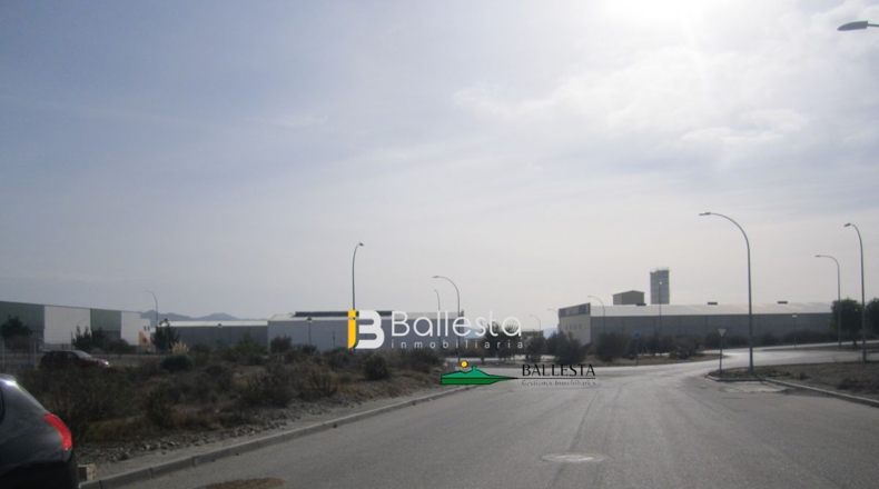 Almería - Huércal-Overa - 550m2