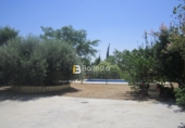 Xalet independent amb terreny en venda a Huércal-Overa ref.: TR14819 foto