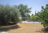 Xalet independent amb terreny en venda a Huércal-Overa ref.: TR14819 foto