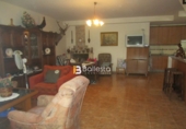Xalet independent amb terreny en venda a Huércal-Overa ref.: TR14819 foto