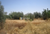 Xalet independent amb terreny en venda a Huércal-Overa ref.: TR14819 foto
